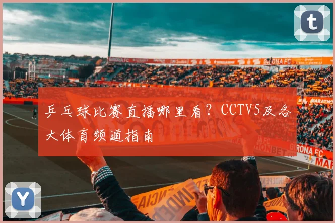 乒乓球比赛直播哪里看?CCTV5及各大体育频道指南