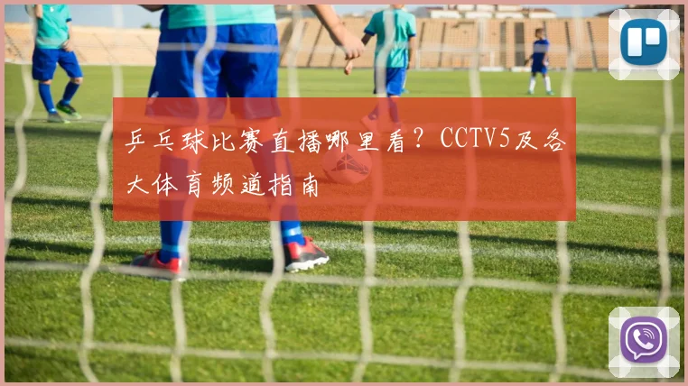 乒乓球比赛直播哪里看?CCTV5及各大体育频道指南