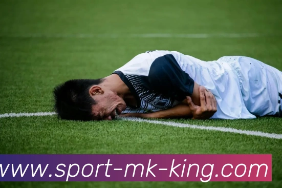 mk体育官方网站精彩赛事尽在MKSPORTS平台生态图